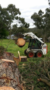 storm cleanup