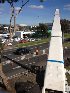 Melbourne airport tree pruning